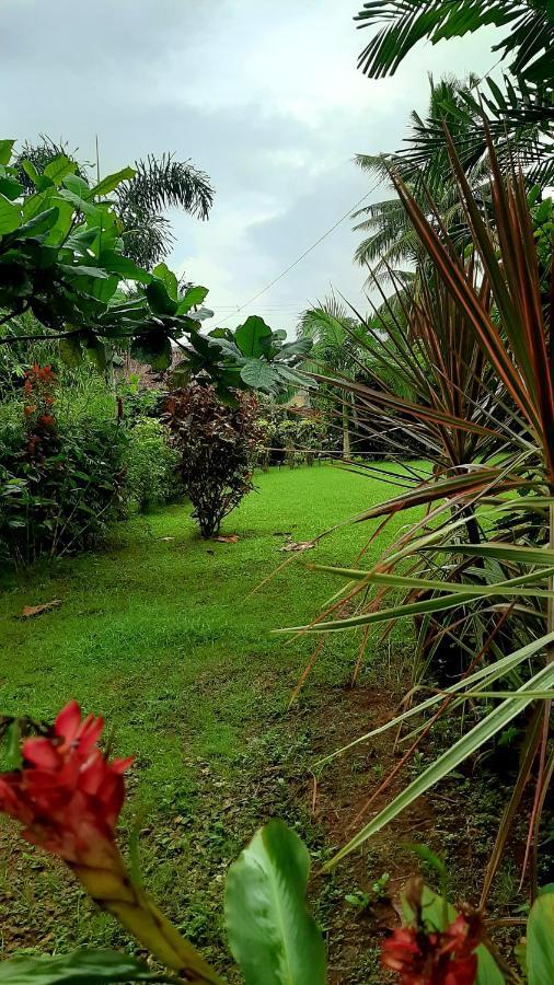 Travis Post Homestay Siquijor Exterior foto